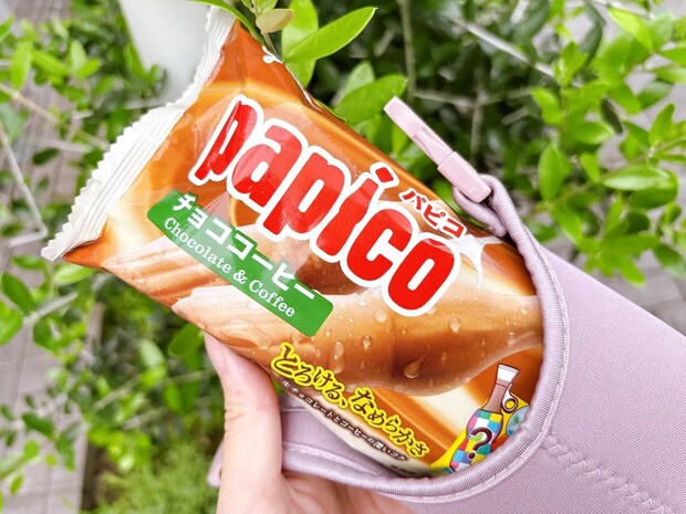 コンビニアイスを持ち帰るなら? 100均の“カバー”で「よかった、バッグが無事だった」