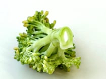茎の中が白いブロッコリー、捨てる？食べる？　ブロッコリー農家に聞いた「正解」は…