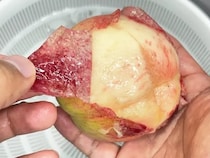 桃の皮剥き、こうすればスルッ！　意外な裏技に「驚くほどキレイに剥けた！」