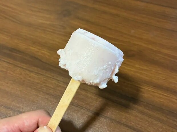 ヨーグルトを生かして作ったアイスキャンデー（撮影：grapeフード編集部）