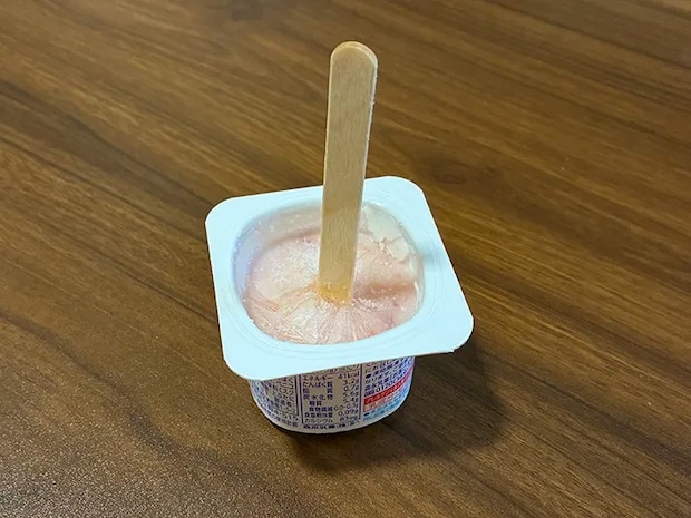 棒を差して凍らせたヨーグルト（撮影：grapeフード編集部）