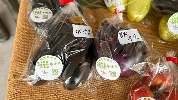 ナスの写真