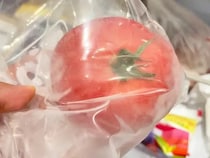 トマトを丸ごと『カチカチに凍らせる』と…？　そうめんが激変する裏技に「かき氷みたいで最高」