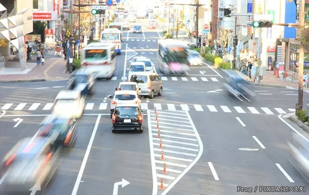 ゼブラゾーンの写真