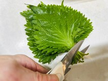余った大葉、もう黒ずませない！香りまで良くなる元調理師の『切り方＆保存テク』