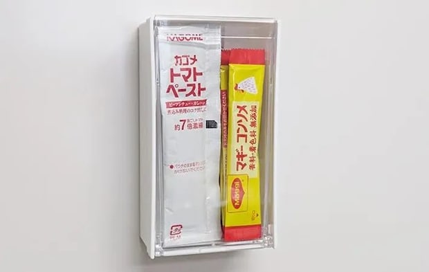 『ダイソー マグネットスイングケース トールホワイト』の使用写真（撮影：ワード）