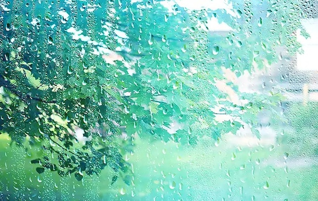 雨の日の窓の写真