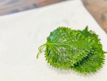 冷蔵庫でしなしなの大葉が「シャキッ」と大復活！　10分で蘇る『元調理師の裏ワザ』