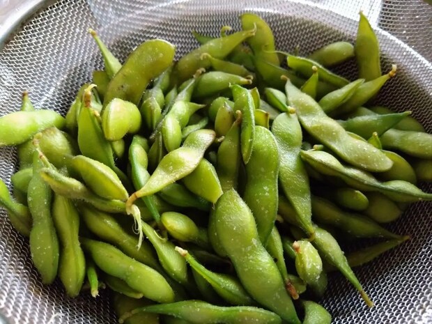 枝豆をゆでる時、水は使いません！　麦茶を使ってみた一口目が…【調理テク4選】