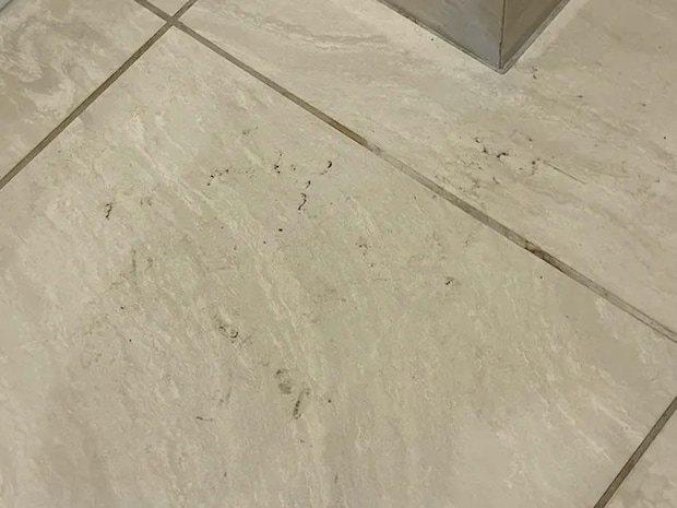 黒ズミがたまった玄関の床（撮影：grapeライフハック編集部）