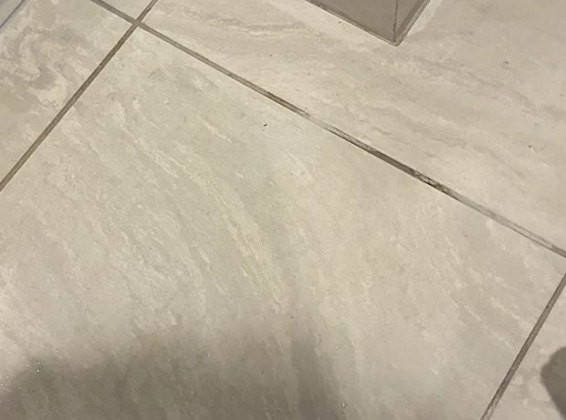ブラシ掃除できれいになった玄関の床（撮影：grapeライフハック編集部）