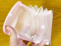 セリアのミニドキュメントファイル　カバン整理に使ったら「想像以上だった」