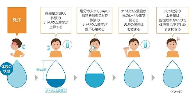 水分量とナトリウム濃度のイメージ画像