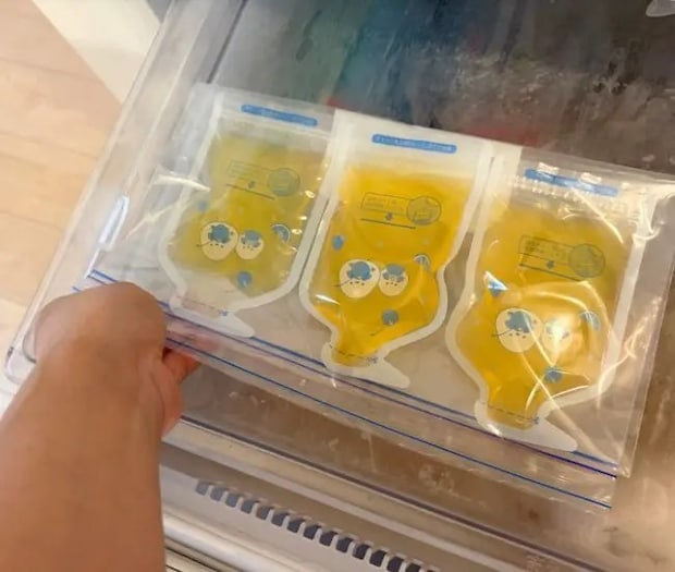 冷凍庫に入れる様子（撮影：grapeフード編集部）