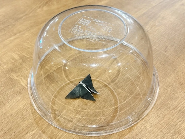 透明の容器で虫を捕獲する写真（撮影：grapeライフハック編集部）