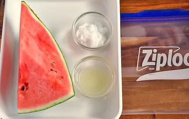 『スイカのシャーベット』の材料写真（撮影：小泉明代）