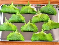 大葉10枚をあっという間に消費！　餃子の皮で包まない「大葉の餃子風」【管理栄養士のレシピ】