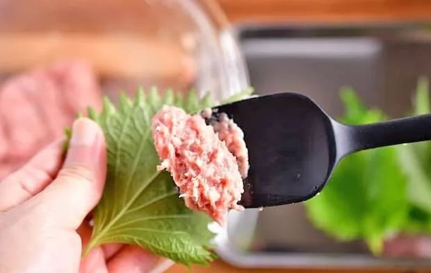 『大葉の餃子風』を作る写真（撮影：小泉明代）