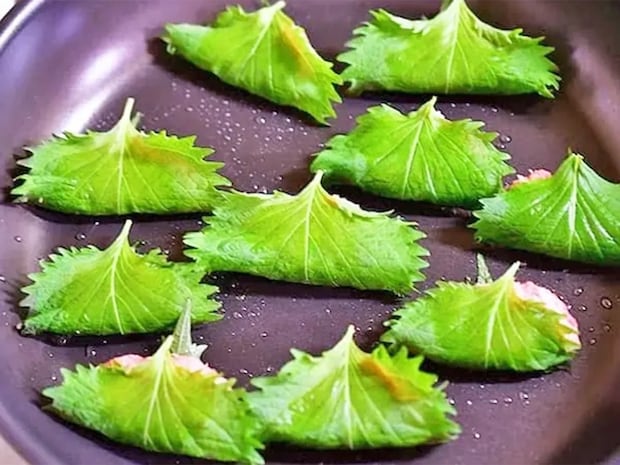 豚ひき肉を大葉で挟むだけ! できた夏の簡単おかずに「餃子の皮いらず」「タレなしでもいい」【管理栄養士が実践】
