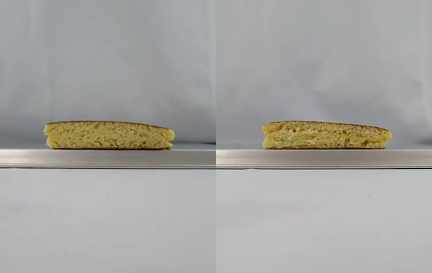 メレンゲと共立ての比較写真（撮影：エフシージー総合研究所）