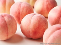 桃を買いすぎたら、どう保存するといい？　JAふくしま未来に「長持ちのコツ」を聞いた！