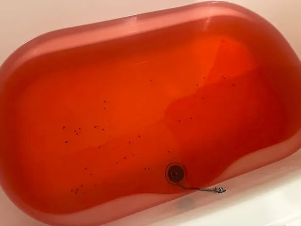 スイカバー入浴剤を入れた風呂（撮影：grape編集部）