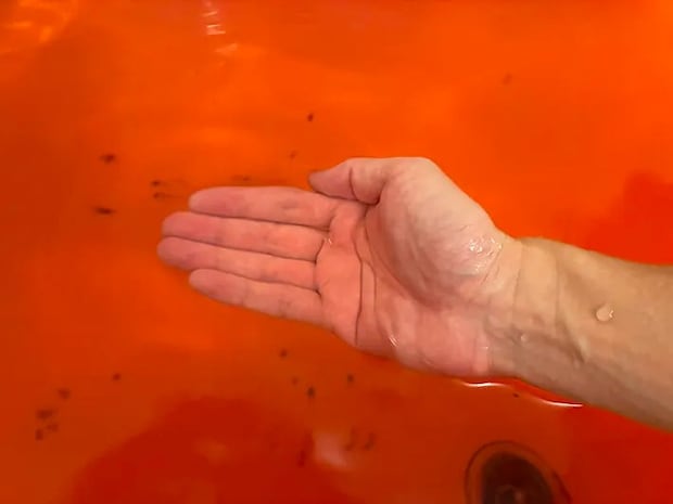 スイカバーの湯に入れる手（撮影：grape編集部）