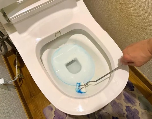 使い終わったブラシをトイレに流す直前の様子（撮影：grapeライフハック編集部）