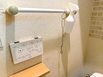 トイレブラシはもう洗いません！　そのまま流せるダイソーのアイテムが超優秀
