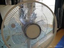 扇風機にまつわる『NG行動』　電機メーカーが注意、“気温が高い日”に使う場合は