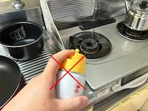 家電の近くにゴキブリが出たらどうする？　スプレーが使えない時の対処法をメーカーに取材
