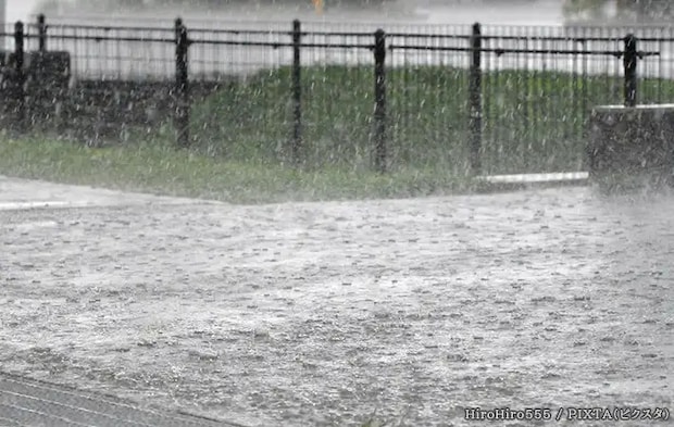 雨の日の写真
