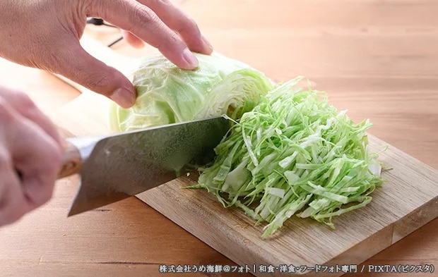 キャベツの写真