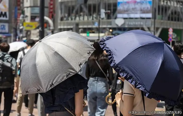 日傘の写真