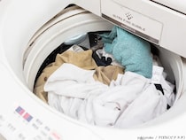 汗臭い服、洗剤は多めに入れるべき？　花王が教える洗濯のNG行動