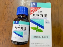 話題のハッカ油、どう使ったらいい？　健栄製薬に聞いた「夏にピッタリの活用法」