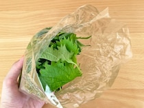 『大葉』は袋のまま冷蔵庫に入れないで！　コップ1つのプロの保存術に「2週間も長持ち！」