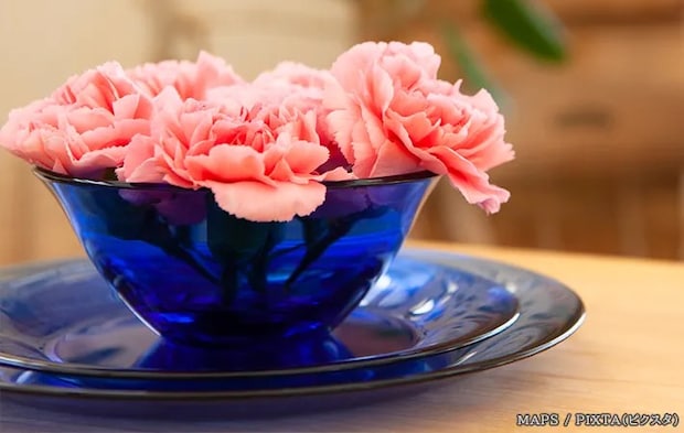 青い器とピンクの花の写真