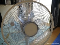 夏に使いたい『扇風機』人に当てるのはOK？　メーカーに聞いた“使い方の正解”