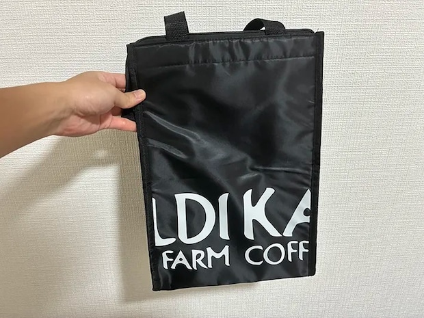手で持ったカルディの保冷バッグ（撮影：grape編集部）