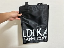 夏にカルディで見つけた『保冷バッグ』　620円と思えないほど「優秀！」