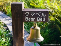 なんか怖い…クマへの『恐れ』の意識を『注意』に変える対策で「見える景色が変わってくる」