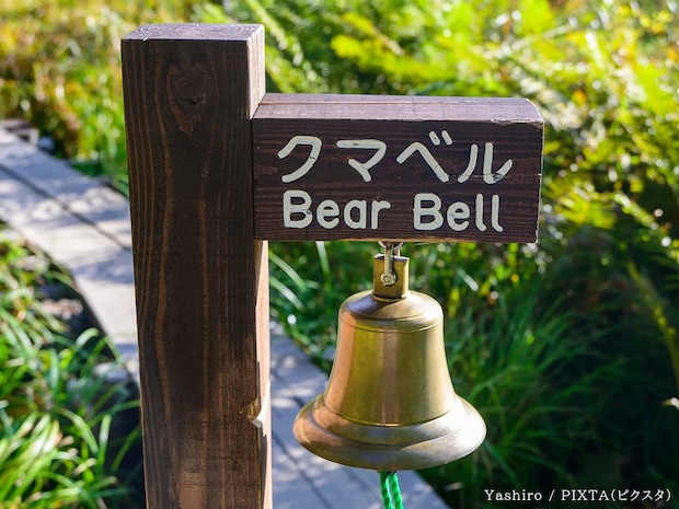 なんか怖い…クマへの『恐れ』の意識を『注意』に変える対策で「見える景色が変わってくる」