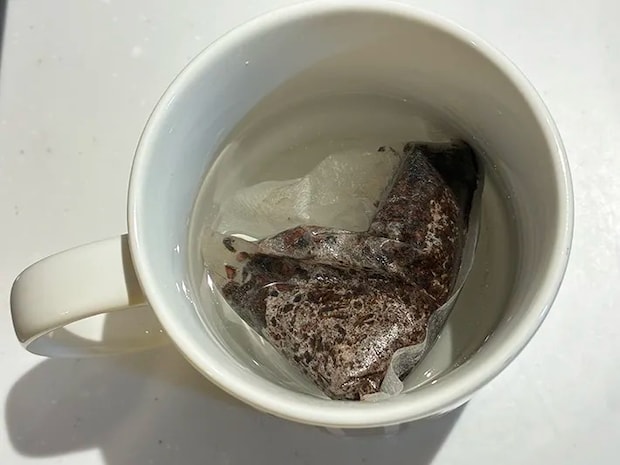 麦茶パックと水が入ったマグカップ（撮影：grapeフード編集部）