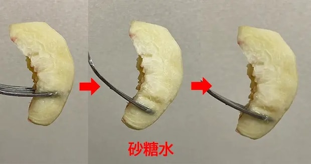 砂糖水に浸した桃の変化の写真（撮影：grapeフード編集部）