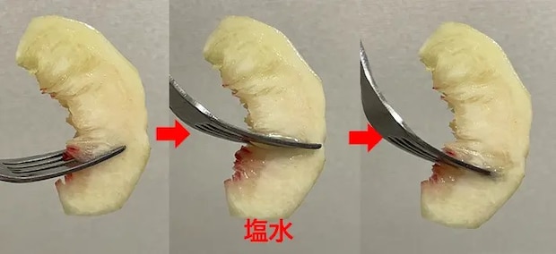 塩水に浸した桃の変化の写真（撮影：grapeフード編集部）
