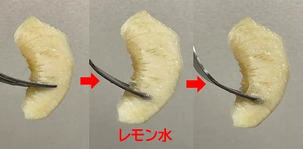 レモン水に浸していた桃の変化の写真（撮影：grapeフード編集部）