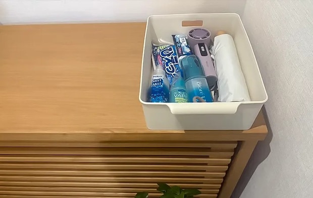 夏のお出かけ用品をまとめた写真