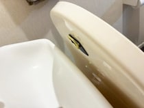 100均のスマホリングを『便器のフタ』に貼るだけ！　トイレの不快感がなくなる活用法が、こちら