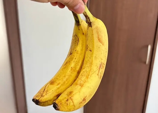 シュガースポットが出てきた画像（撮影：キジカク）